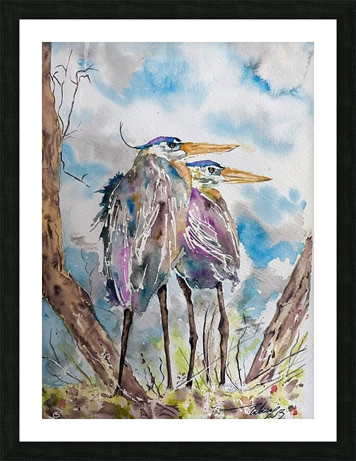 Herons Picture Frame print