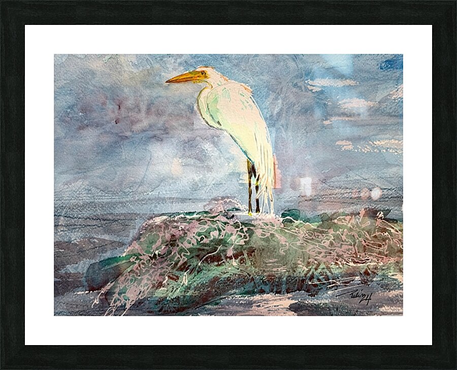 Egret 2024 Picture Frame print