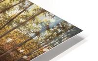 Catskills Tranquility HD Metal print