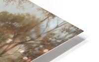 Highlands Mist HD Metal print