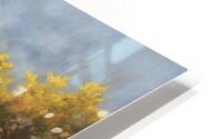Retreating Light HD Metal print