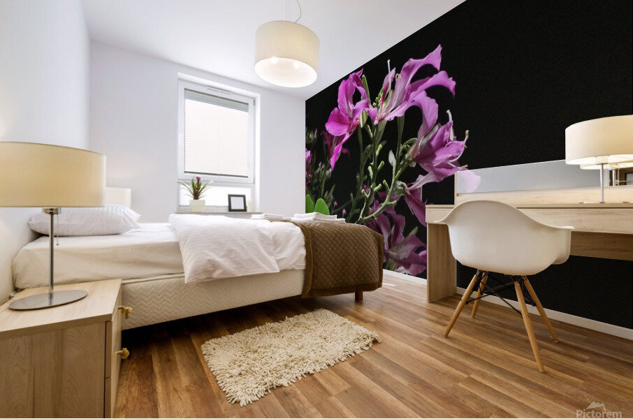 Pink Flowers at Night Mural print