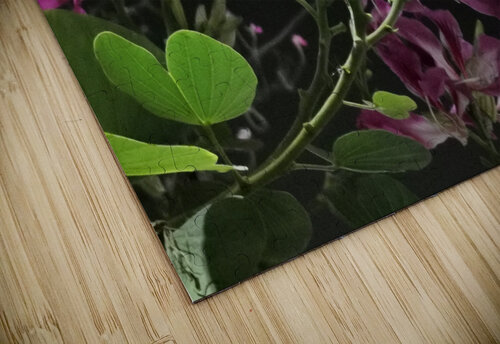 Pink Flowers at Night Saowalux Poshyanandana puzzle