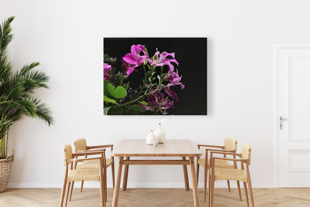 Pink Flowers at Night Reproduction