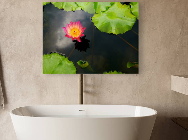 Water Lily Reproduction