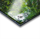 Path Through Jungle Portrait Acrylic print