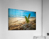Izquierda 6 Acrylic Print
