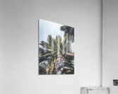 Up Palm 12 Acrylic Print