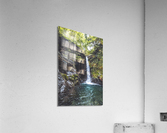 Oropendola Waterfall Acrylic Print