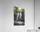 Jungle Waterfall Acrylic Print