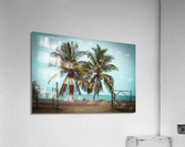 Love Palms Acrylic Print