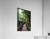 Path Through Jungle Portrait Acrylic Print