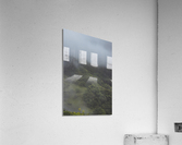 Misty Mountain Cows Acrylic Print
