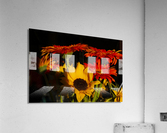 sunflowers large Acrylic Print