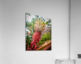 Pink Pineapple Acrylic Print