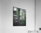 Jungle Bridge Arch Acrylic Print