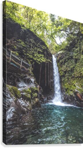 Oropendola Waterfall Canvas Print