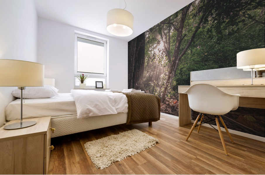 Barrigona Forest Mural print