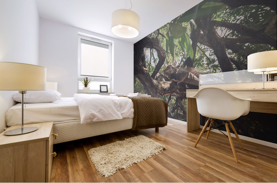 Iguana Mural print