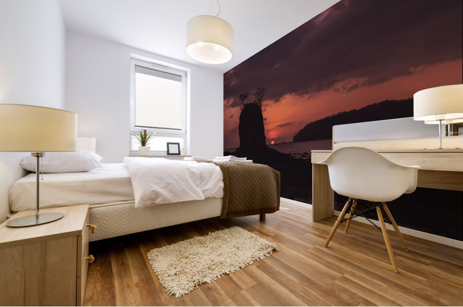 Sunset With Rock Mural print