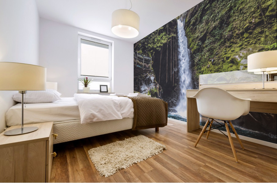 Oropendola Waterfall Mural print
