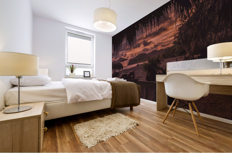 Sunset Playa Samara Mural print