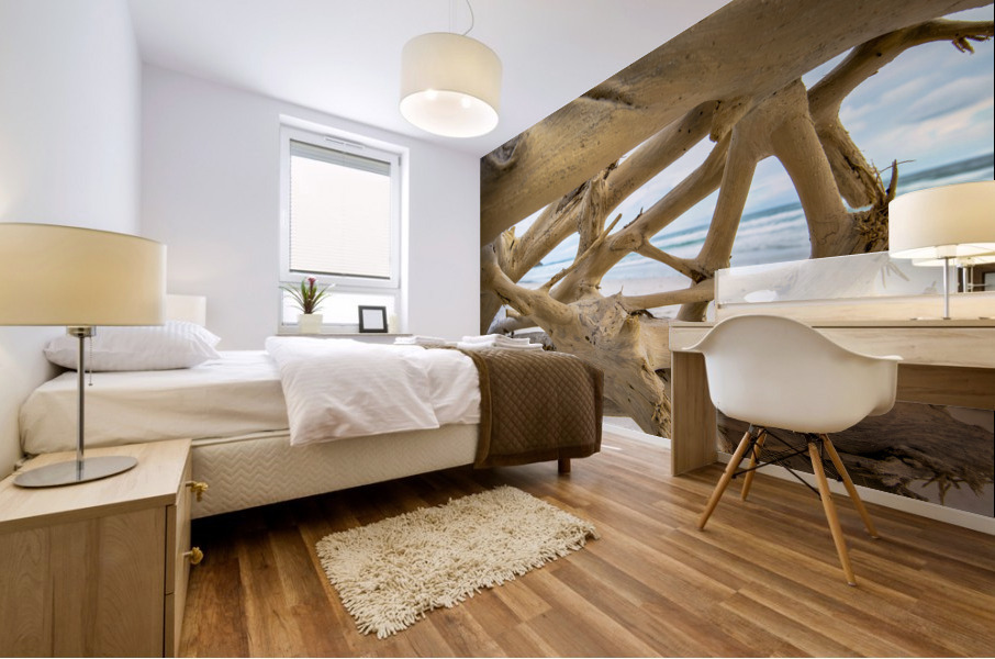 Drift Wood Windows Mural print