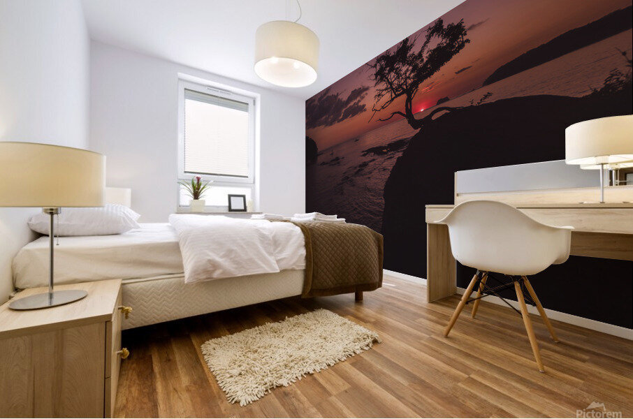 Bonsai Sunset Mural print