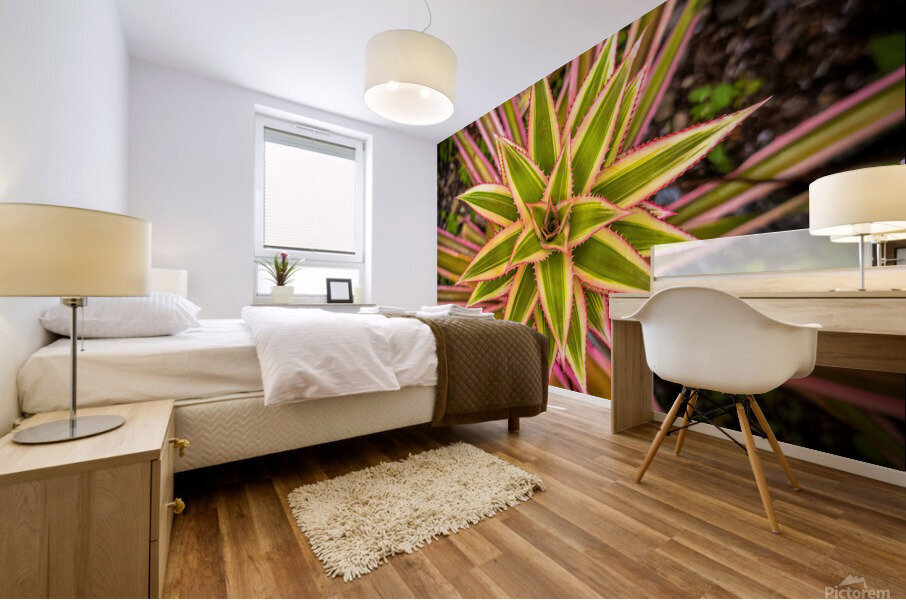 Pink Pineapple Top Mural print