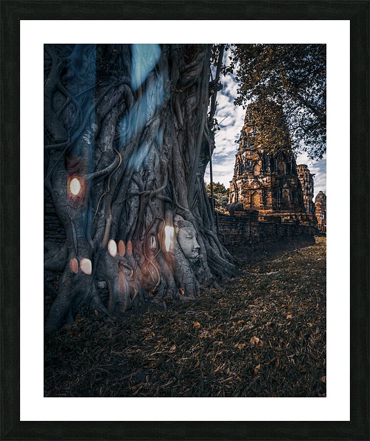  Fine Art print