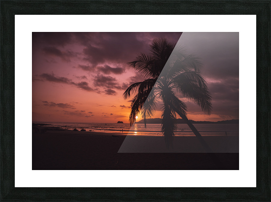 Palm Sunset Picture Frame print