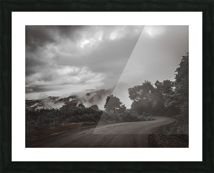 Jungle Mountain Road Picture Frame print