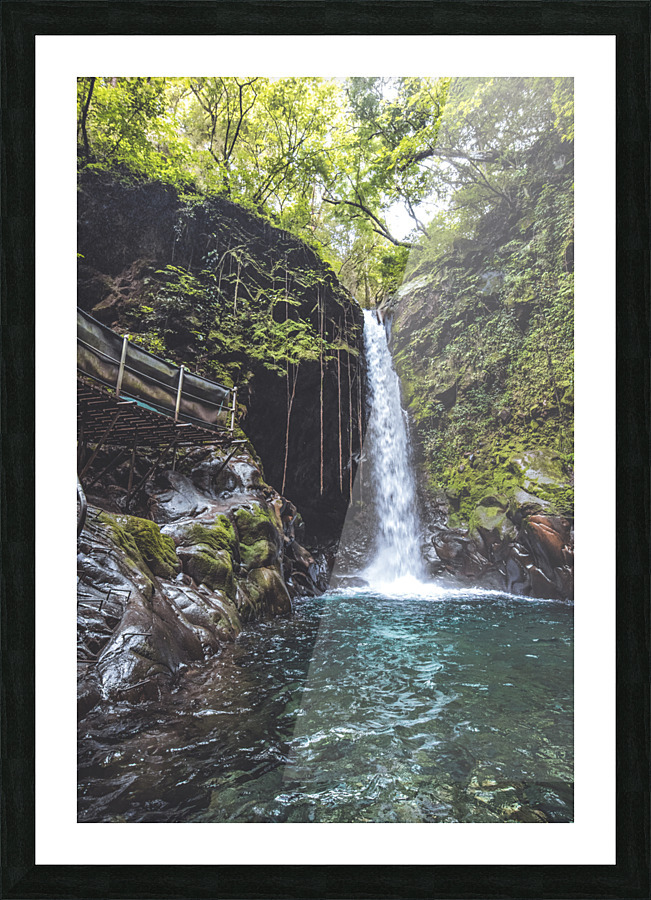 Oropendola Waterfall Picture Frame print