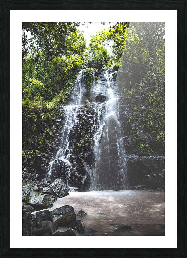 Jungle Waterfall Picture Frame print