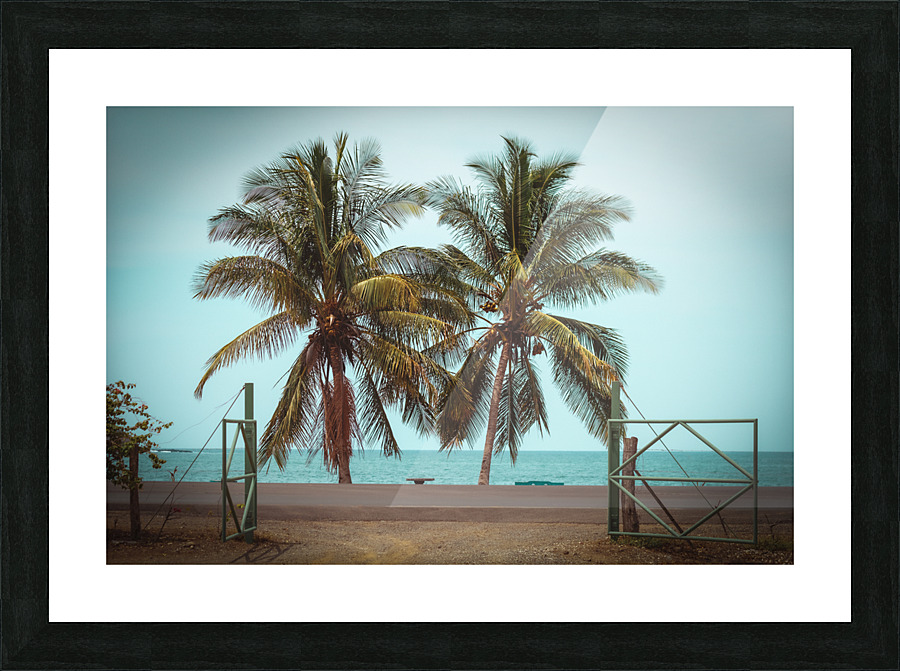 Love Palms Picture Frame print