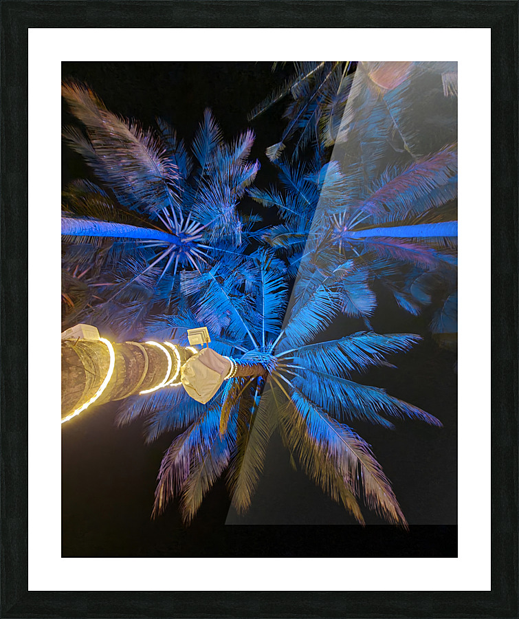 Blue Palms Picture Frame print