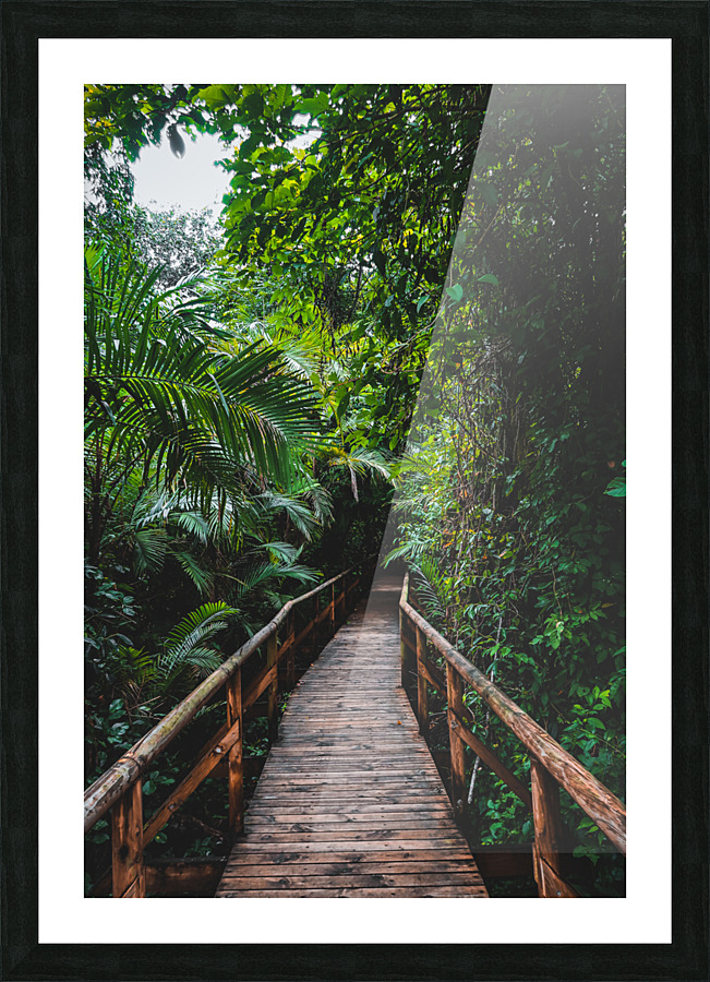 Path Through Jungle Portrait Picture Frame print