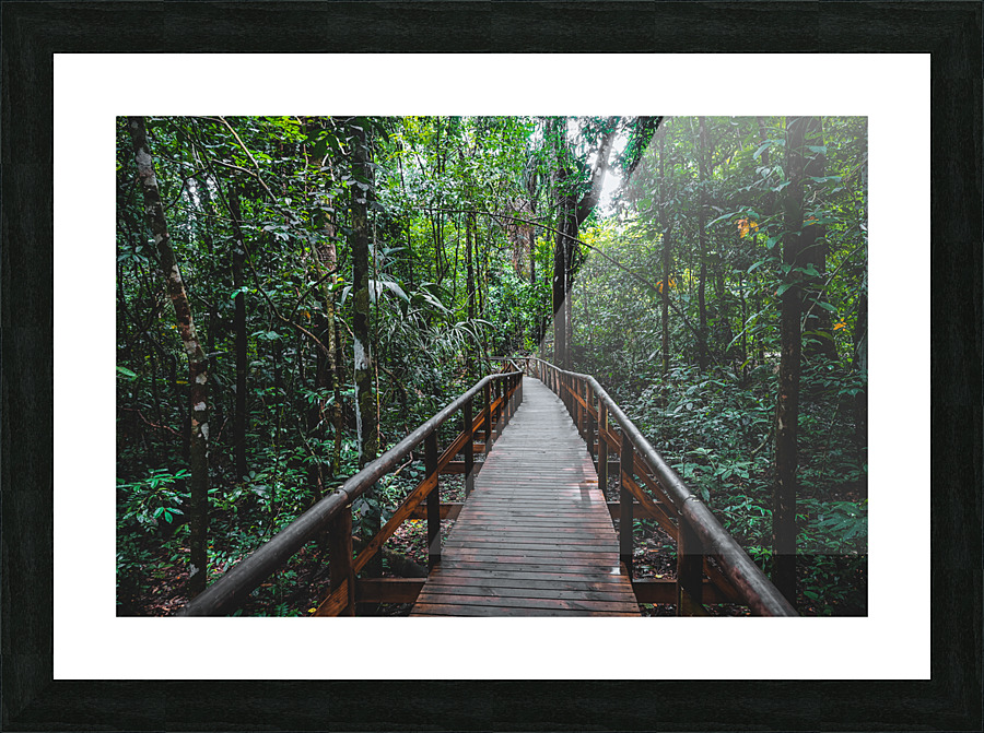 Path Through Jungle Horizontal Picture Frame print