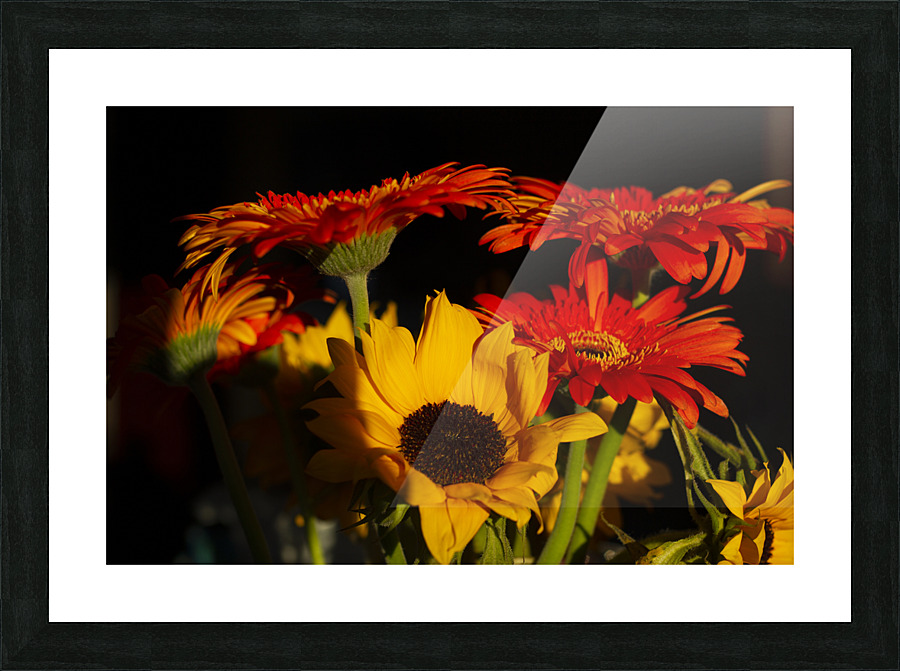 sunflowers large Picture Frame print