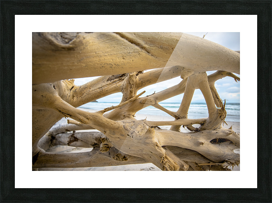 Drift Wood Windows Picture Frame print