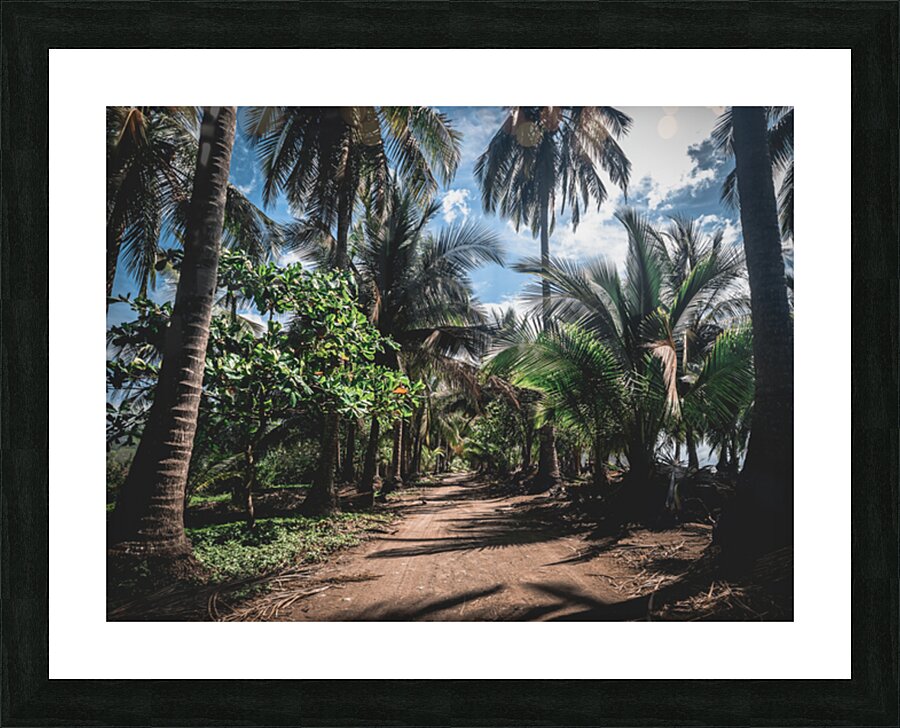  Fine Art print