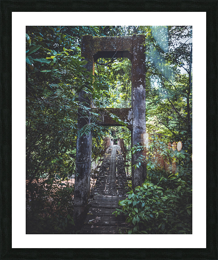  Fine Art print