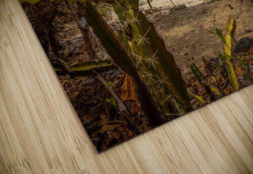 Izquierda 5 Chris Dufresne puzzle