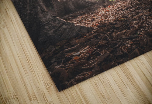 Barrigona Forest Chris Dufresne puzzle