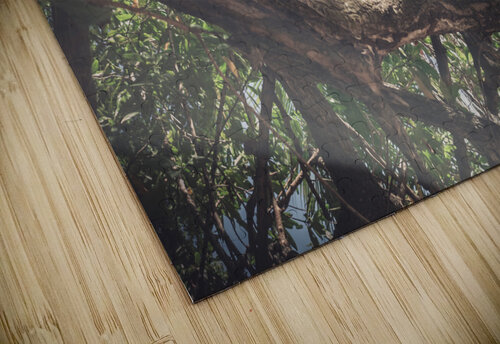 Iguana Chris Dufresne puzzle