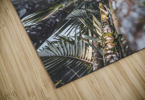 Up Palm 12 Chris Dufresne puzzle