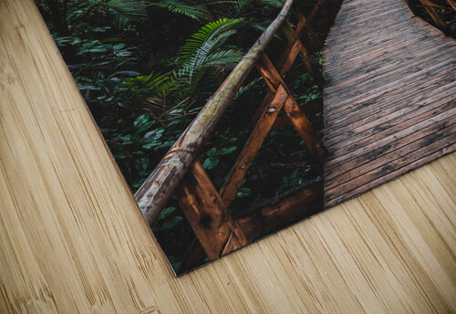 Path Through Jungle Portrait Chris Dufresne puzzle