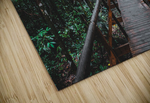 Path Through Jungle Horizontal Chris Dufresne puzzle