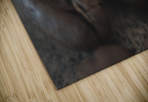 Coffee Beans Chris Dufresne puzzle