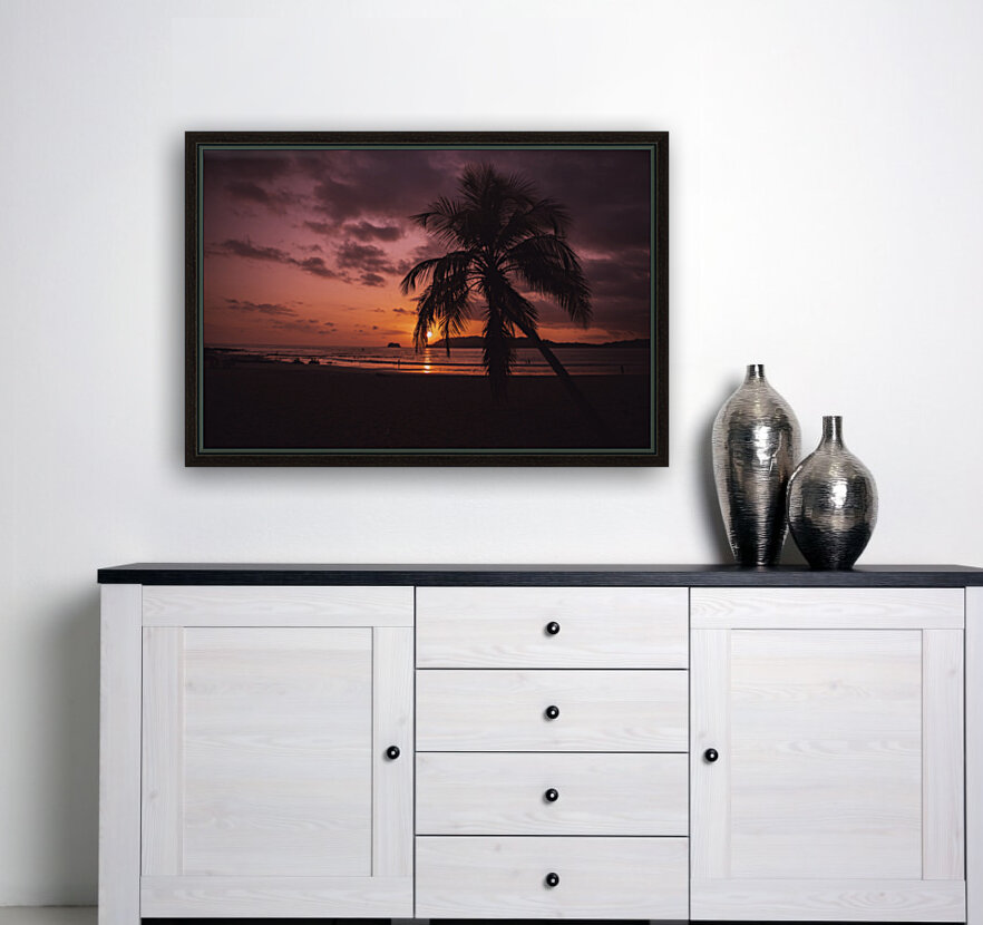 Palm Sunset Reproduction